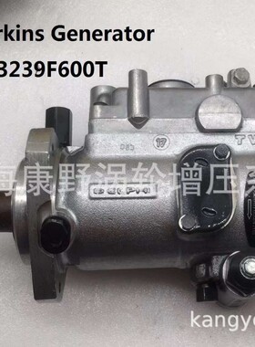 原装燃油泵4484632 V3239F600T和3260F530T 2643D640 3260F532T