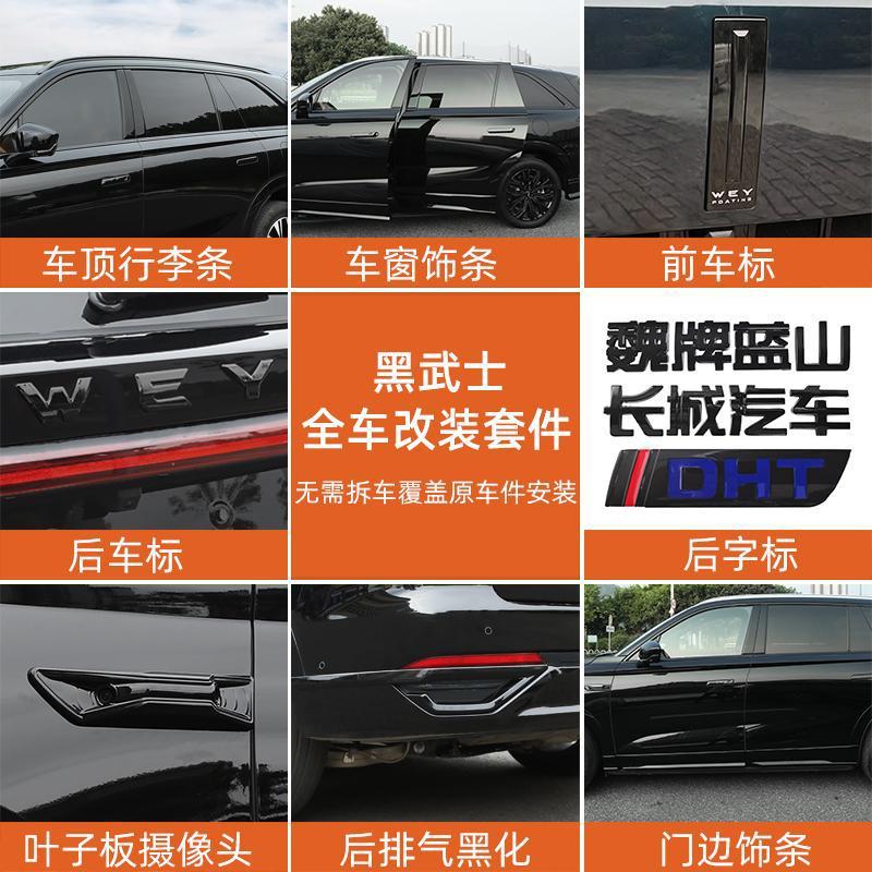 魏牌蓝山车窗饰条黑化门边条黑武士车顶行李条叶子板车标改装配件