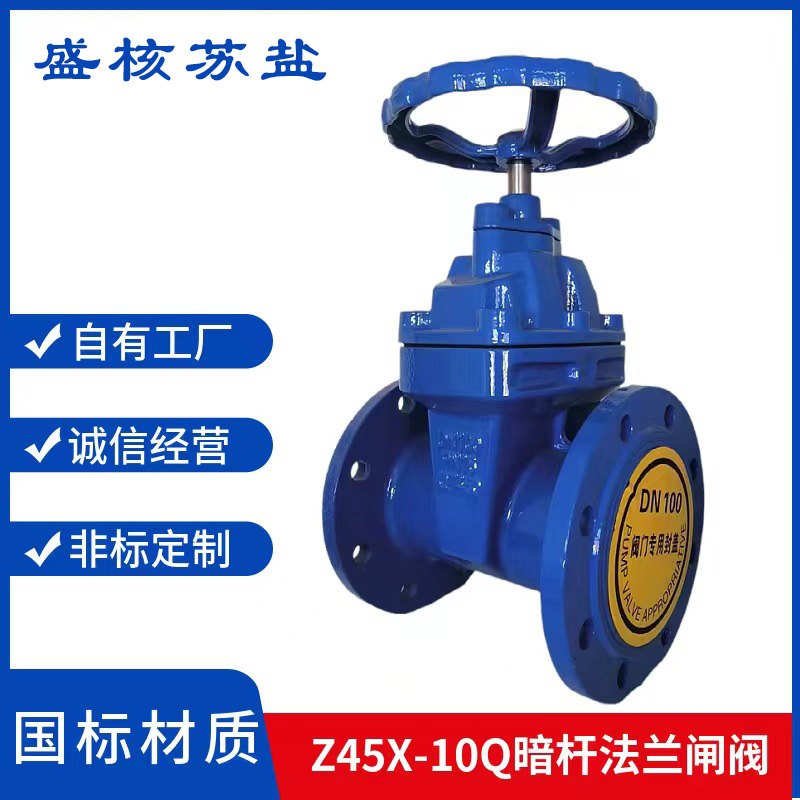 Z45X-10Q球磨铸铁软密封暗杆法兰闸阀 弹性座封闸阀 暗杆闸阀DN80