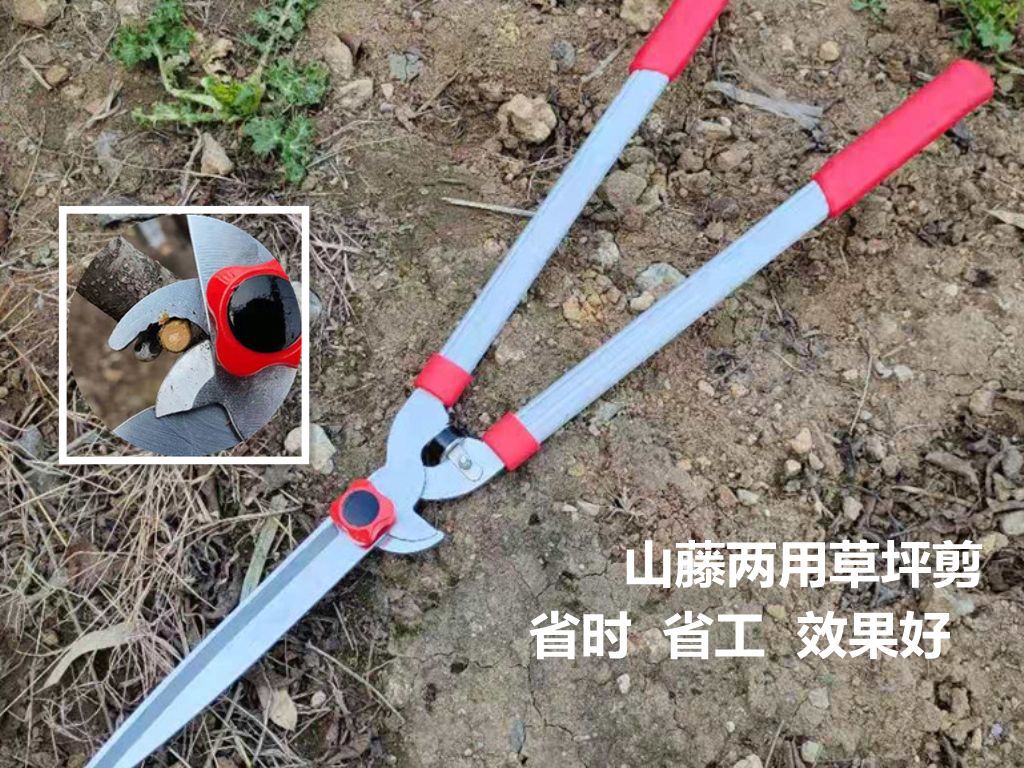 销售山藤两用篱笆剪 绿篱剪粗枝 草坪剪 园林绿化 工具大剪刀草剪