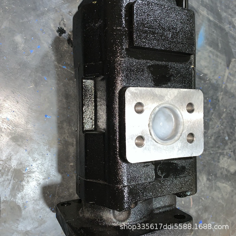 港口堆高机配套齿轮泵P360A367ZA17-6泊姆克齿轮泵