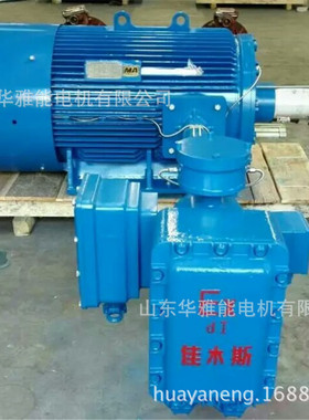 高压YXKK450-10-250KW电机6千伏YKK450-10-250KW电机设计