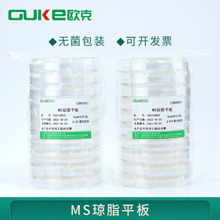 MS琼脂平板 培养基 用于植物的组织培养 无菌真空包装 10皿/包