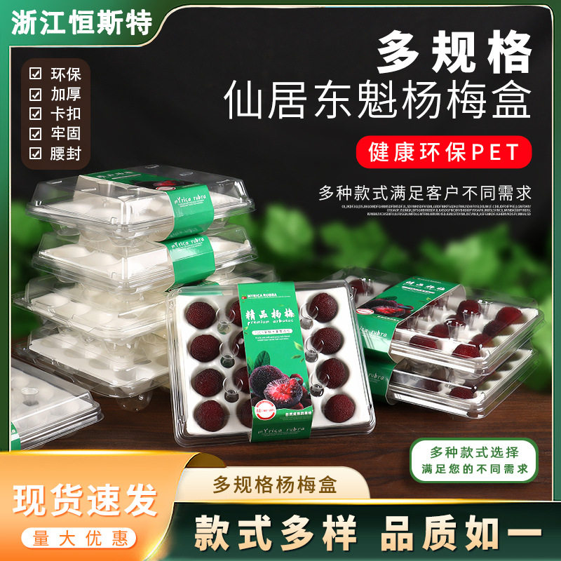 仙居杨梅包装盒透明一次性大颗东魁杨梅盒20粒防震防撞顺丰杨梅盒
