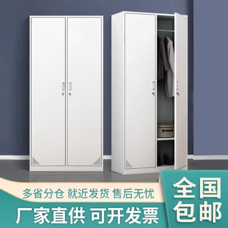 现代简约二门更衣柜对开门落地铁皮储物员工宿舍存放柜文件柜
