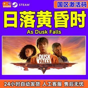 Dusk Falls 国区激活码 Steam 正版 CDKEY PC游戏 日落黄昏时