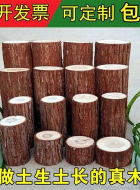 木桩木柱木头实木底座摆件树桩木墩拍照装饰婚庆道具园艺栅栏围栏