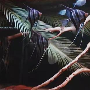 水族鱼缸南美简易造景新鲜铁树叶原生自然热带雨淋网红叶装饰插花