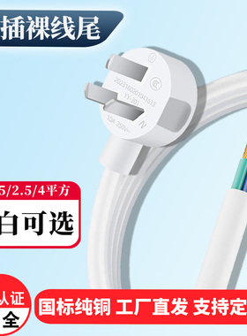 4平方纯铜国标大功率电源线带插头电线三芯三插头带线白色裸尾2米