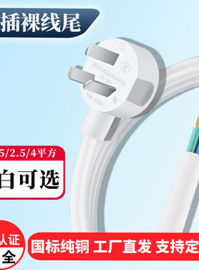 4平方纯铜国标大功率电源线带插头电线三芯三插头带线白色裸尾2米