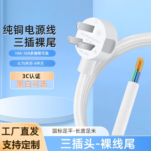 国标纯铜电源线三芯电缆线10A16a大功率1.5/4平方插头带线 三 带