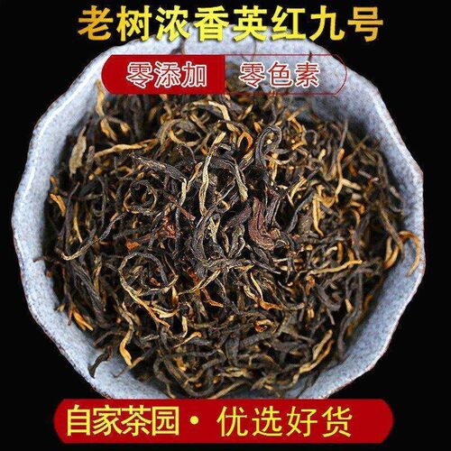 英德红茶英红九号2026新茶官方旗舰店正品浓香型茶叶自己喝口粮茶