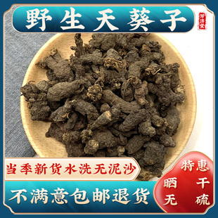 野生紫背天葵子中药材500g克 水洗新货千年老鼠屎山耗子散血珠根