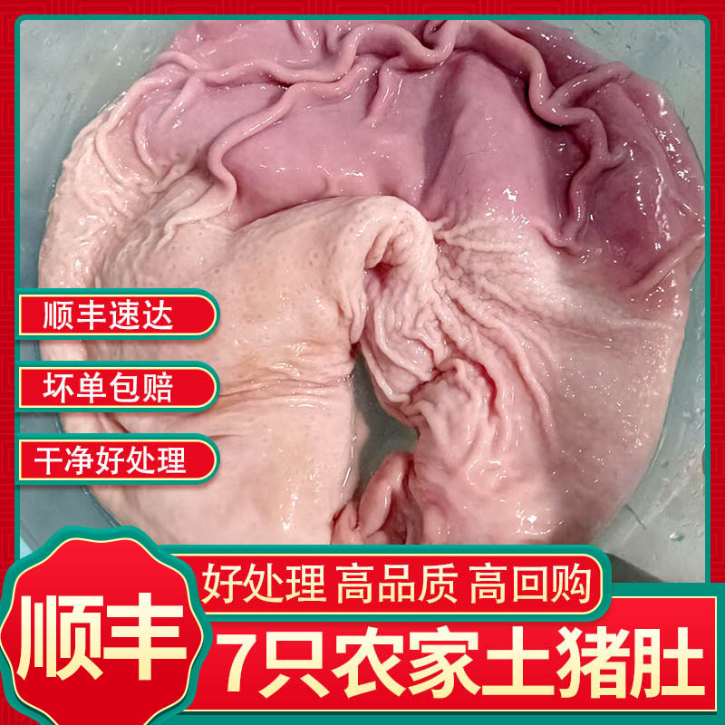 顺丰7只猪肚肚特大猪肚子