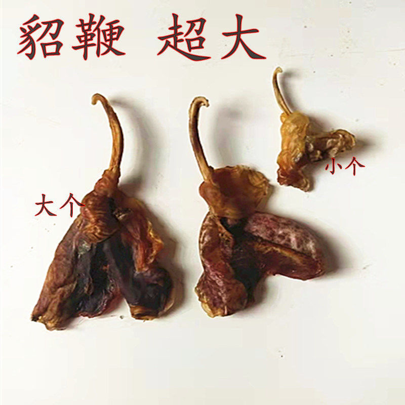 貂鞭干整条大貂鞭滋补泡酒天然男性店里有蛇鞭猪鞭羊纯天然