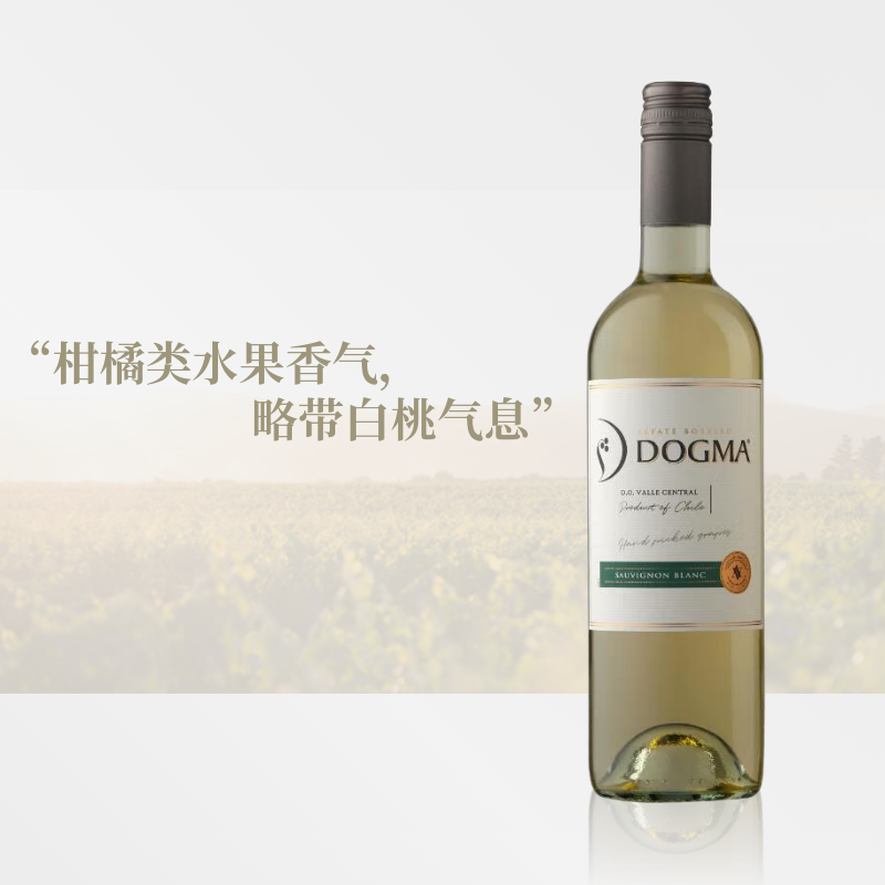 柑橘白桃香气，热带水果 | 朵戈玛 智利进口 长相思白葡萄酒 单支