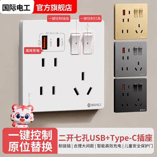 国际电工二开七孔USB充电插座