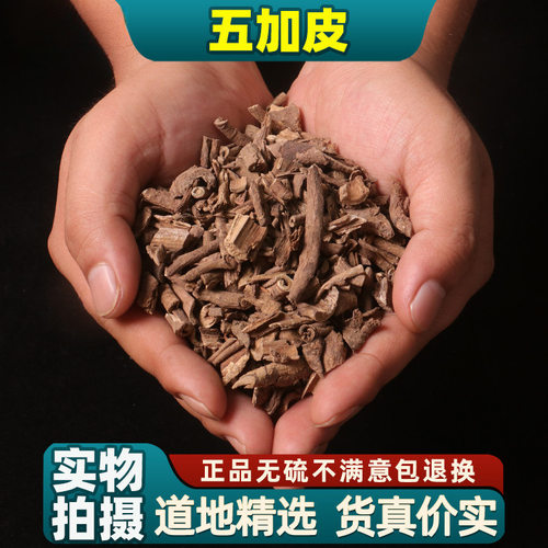 同仁堂品质五加皮新货南五加皮五谷皮红五加皮中药材500克g可磨粉