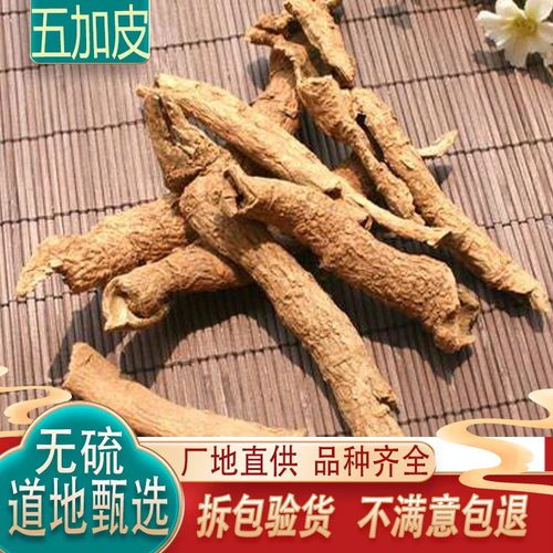 云南野生中药材五加皮 北五加皮 香五加皮 新货无硫正品包邮