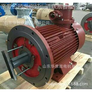 280M水蓝漆挂式 XDM2 09电机替代文铭登机电BM电机YVP 合格 280M