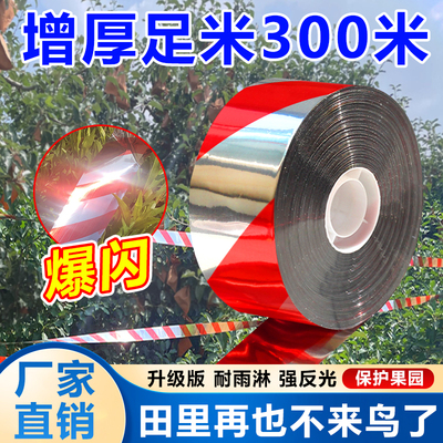 芸晗驱鸟彩带强力反光