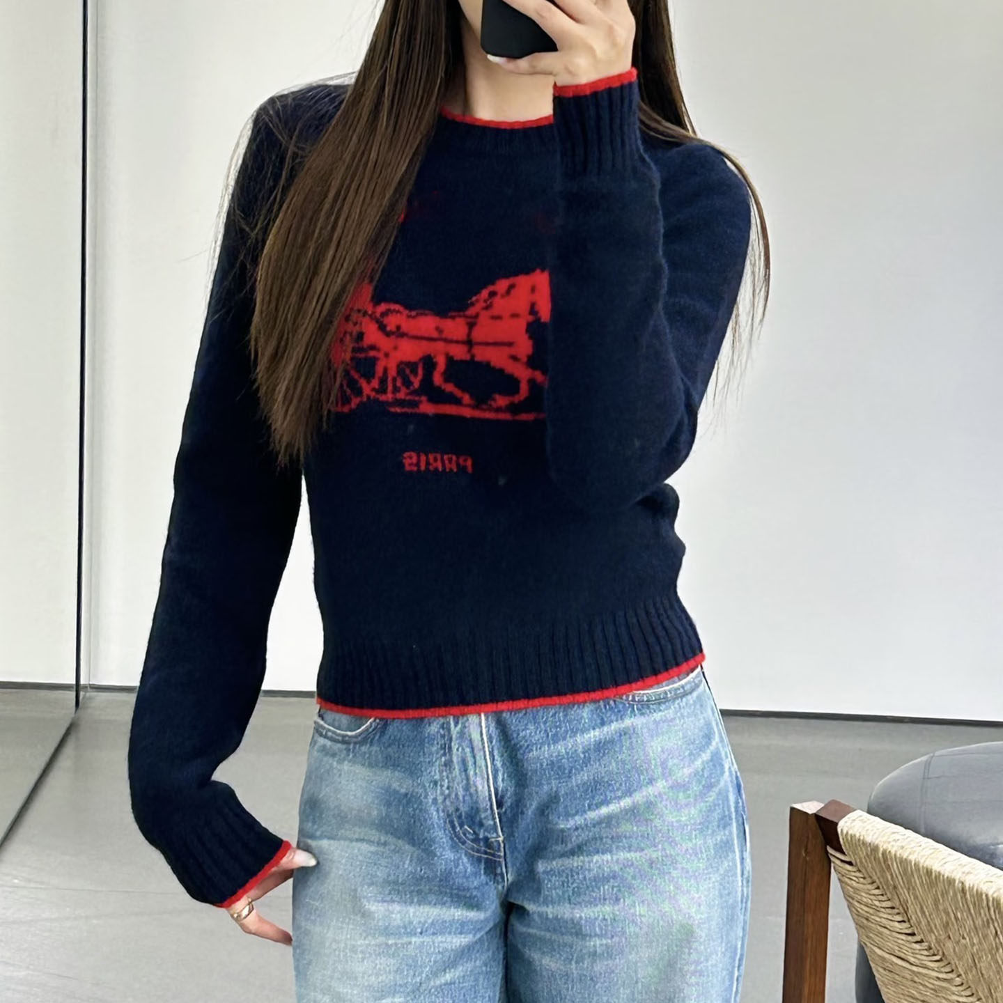休闲风羊毛马车刺绣针织毛衣上衣