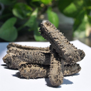 方刺参进口澳洲淡干海参野生海参海产品干货大四排刺参非即食辽参