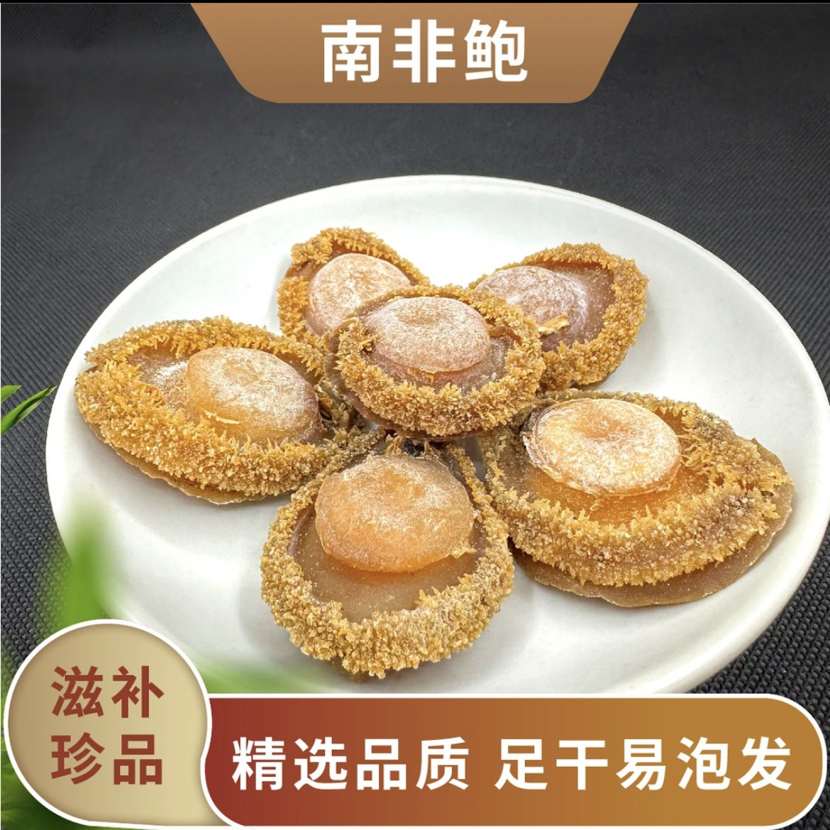 南非鲍鱼糖心干鲍鱼干货特大2头5头6头8头青鲍网鲍鱼酒店家宴食材