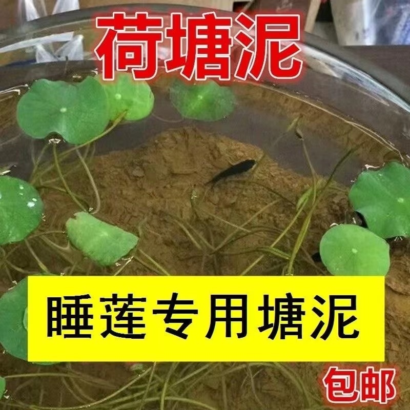 荷塘泥碗莲专用土睡莲专用土莲铜钱草绿植物鱼缸专用水培营养泥土