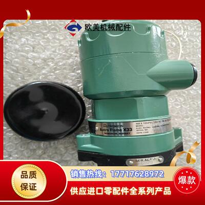 AUTRONICA 防爆火焰探测器型号X33AFA7D1议价