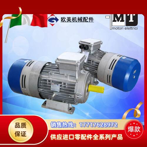 意大利MT刹车电机TN56B4 009KW-TN160L4议价