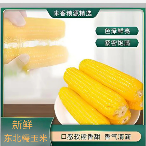 2025东北头茬黄糯玉米即食香甜