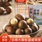 云南夏威夷果 26mm精品大果原味 云夏庄园 坚果零食 送开口器