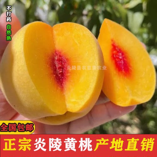 正宗湖南炎陵黄桃10斤高山水果桃子红心现摘现发甜脆当季水果