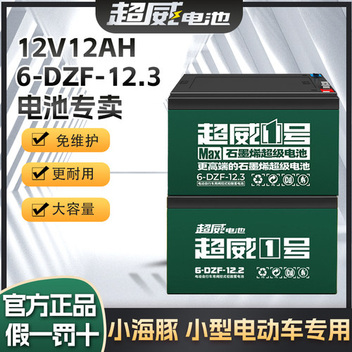超威石墨烯12v24v48v126-dzf-12