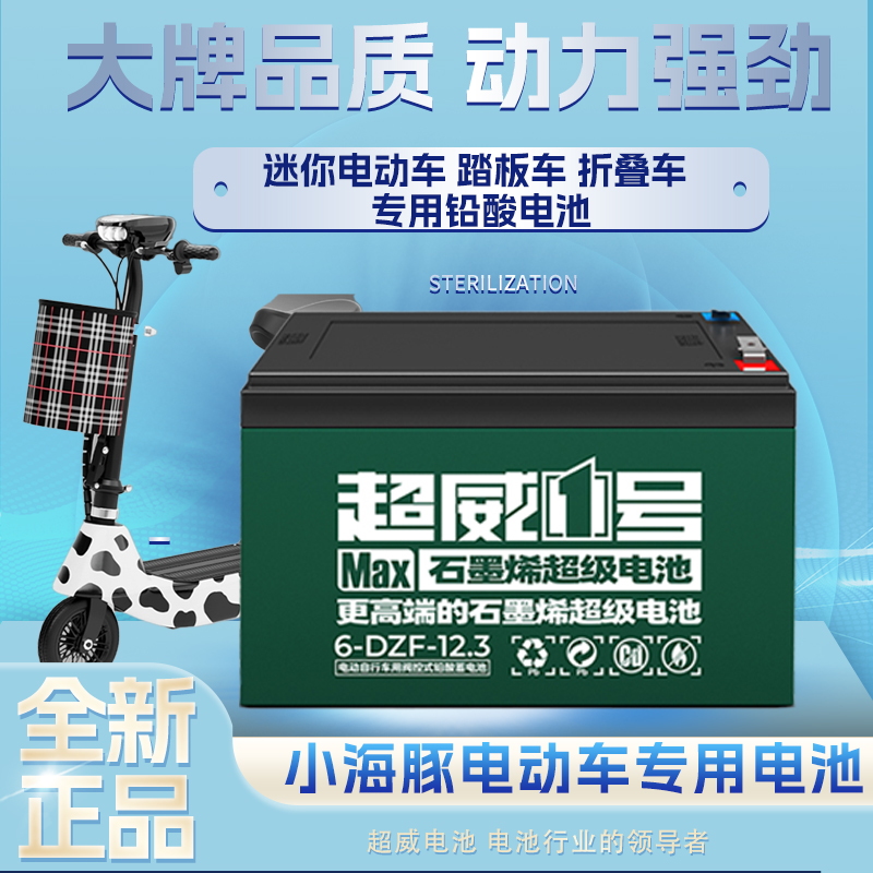 小海豚迷你电动车12v24v12ah电池