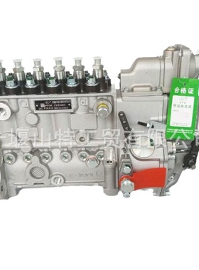 6BT5.9发动机喷油泵燃油泵 3963960 0460426385