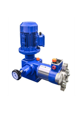 BRAN+LUEBBE计量泵CEREX D