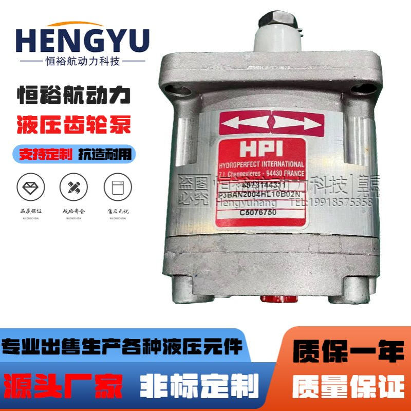 HPI齿轮泵P3BAN2004HL10B02 M5BAN2010BL20C02 P3BAN1003CL液压泵