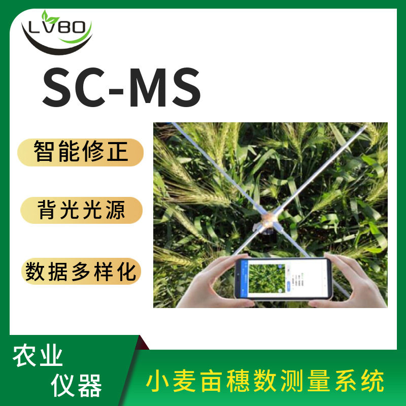 杭州绿博SC-MS小麦亩穗数测量系统批量分析成像清晰数粒准确