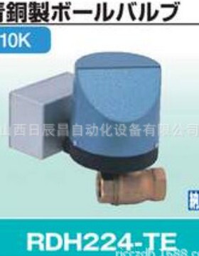 开滋KITZ 阀门 RDH224-TE-10A