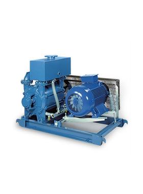 ROBUSCHI真空泵RVS 罗茨式鼓风机 风机 机械密封