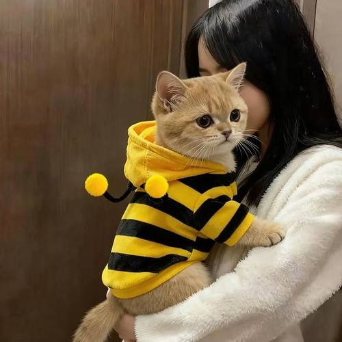 防掉毛猫咪衣服秋冬款加绒保暖小蜜蜂宠物小猫狗狗衣服可爱变身装