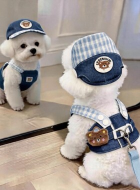 狗狗衣服春夏可爱小熊透气牛仔胸背带小型犬外出专用可牵引遛狗绳