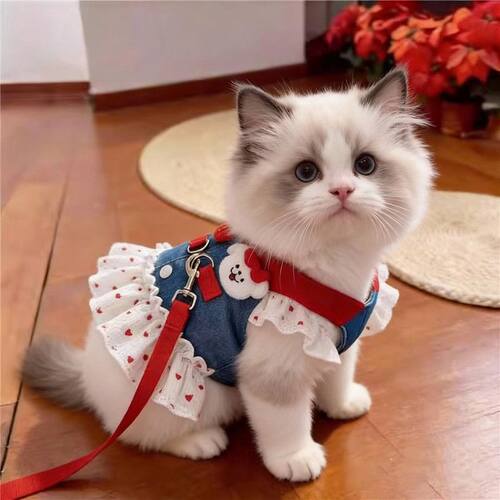 猫咪胸背宠物狗狗衣服公主裙薄款牛仔卡通牵引裙小型犬春夏装新品