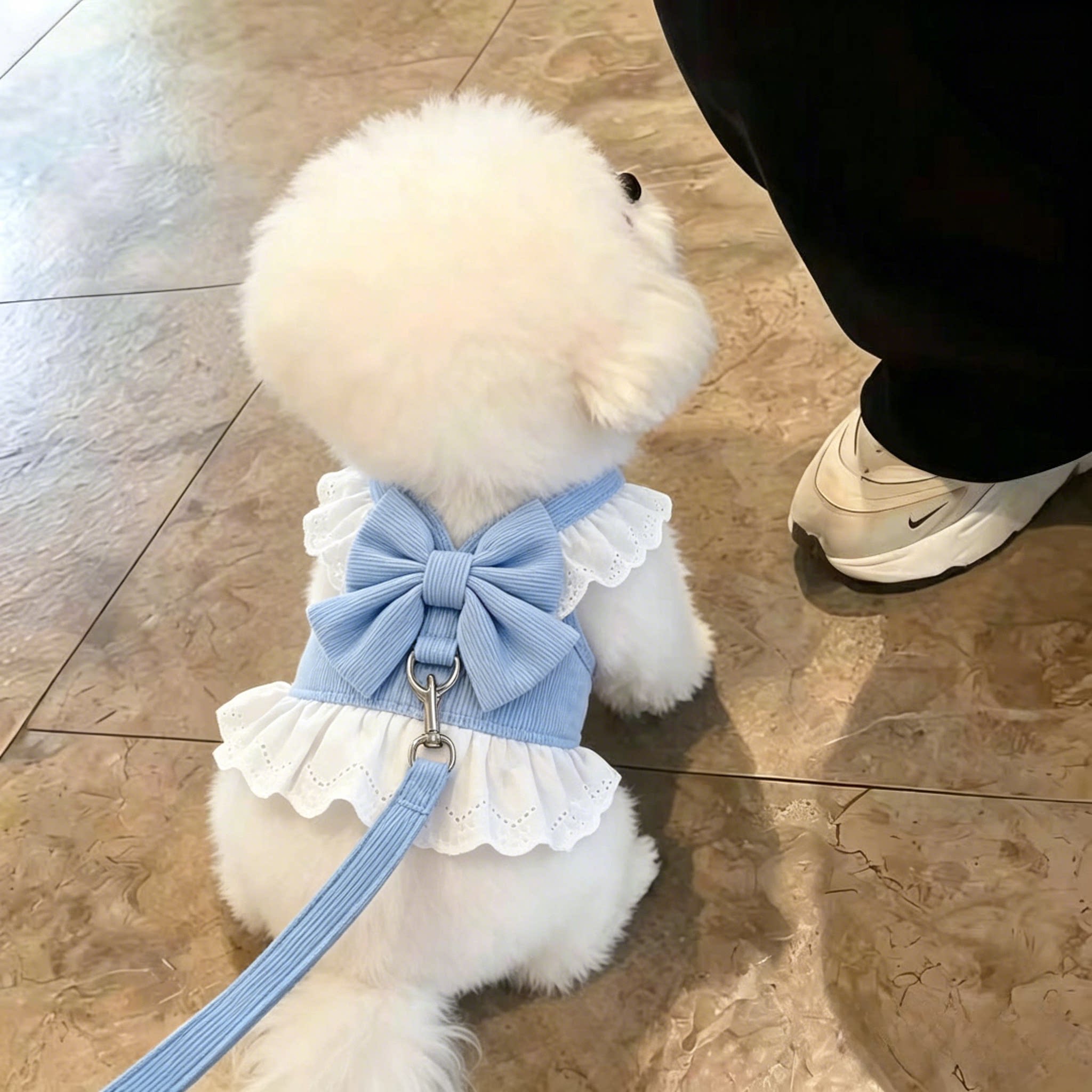 狗狗牵引绳小型犬蕾丝边胸背带裙子甜美薄款幼犬外出专用牵引衣服