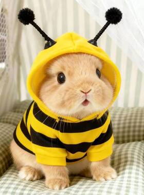 呆萌兔兔衣服可爱蜜蜂保暖卫衣小宠防掉毛侏儒兔龙猫仓鼠猫狗通用