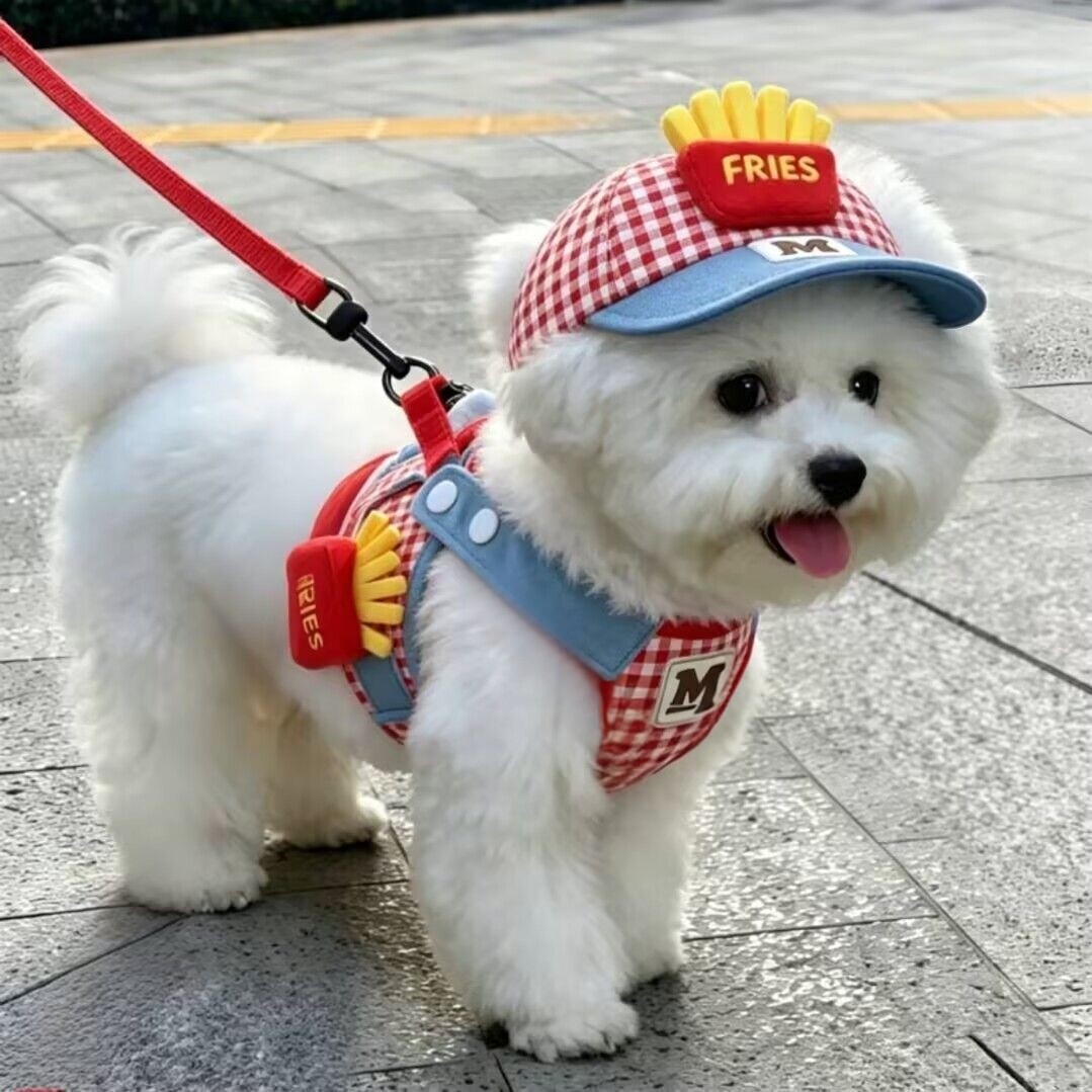 狗狗牵引绳卡通薯条胸背带泰迪博美比熊防晒帽子遛狗绳防挣脱狗绳