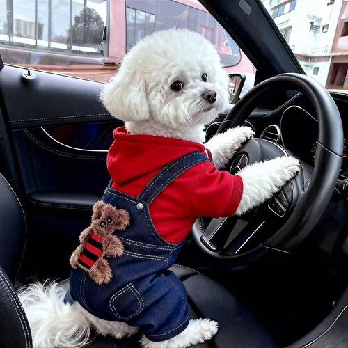 狗狗冬季小熊变身装比熊泰迪博美小型犬宠物加绒保暖防寒四脚衣