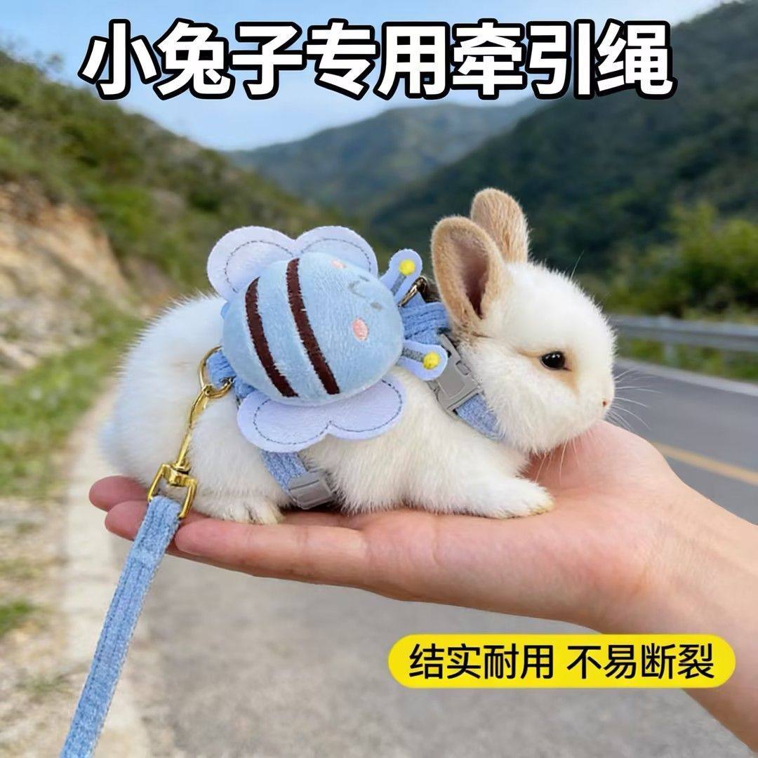 兔绳遛兔绳兔子牵引绳可调节兔绳子防挣脱拴兔绳兔子外出牵引用品,宠物/宠物食品及用品,猫牵引绳,淘宝优惠券,粉丝福利购,淘宝优惠卷